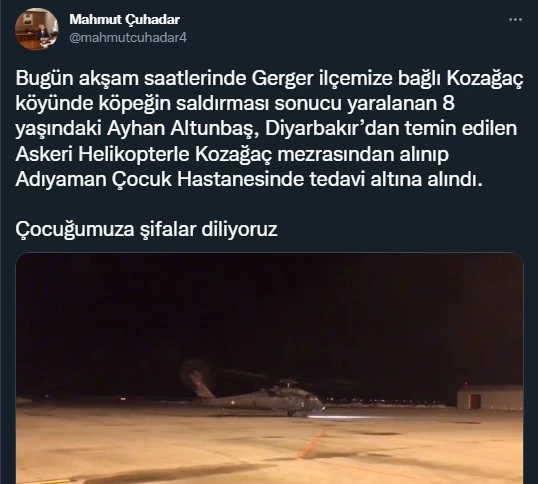 Sokak köpekleri küçük çocuğu boynundan ısırdı, 2 metre karda ambulans gelemedi